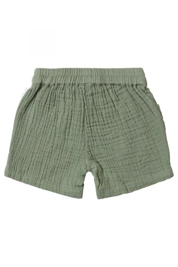 Burnet Shorts-Agave Green