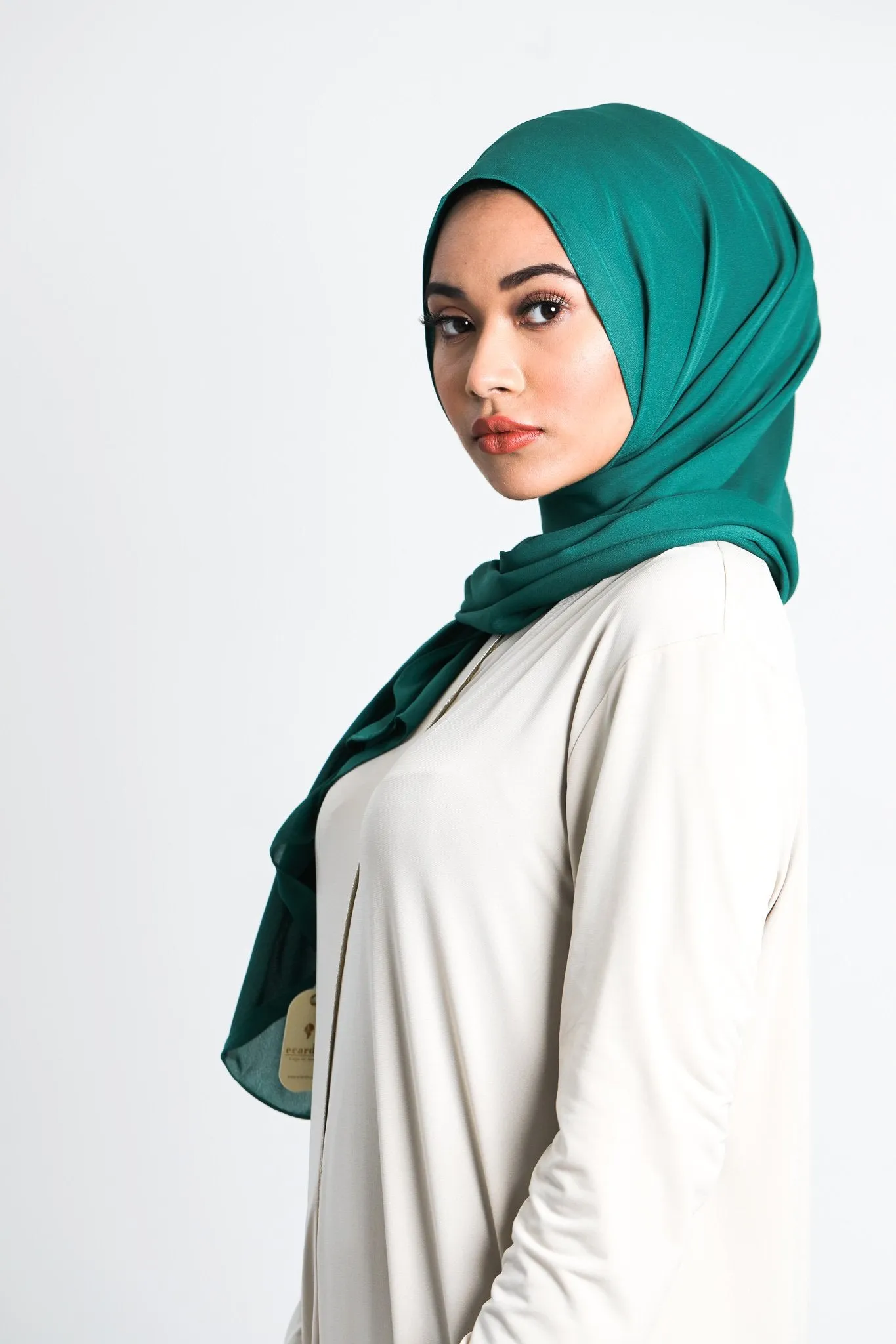 Chiffon Scarf | Sea Green