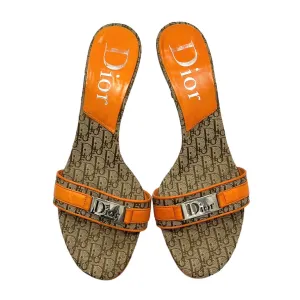 Dior Orange Logo Kitten Heels