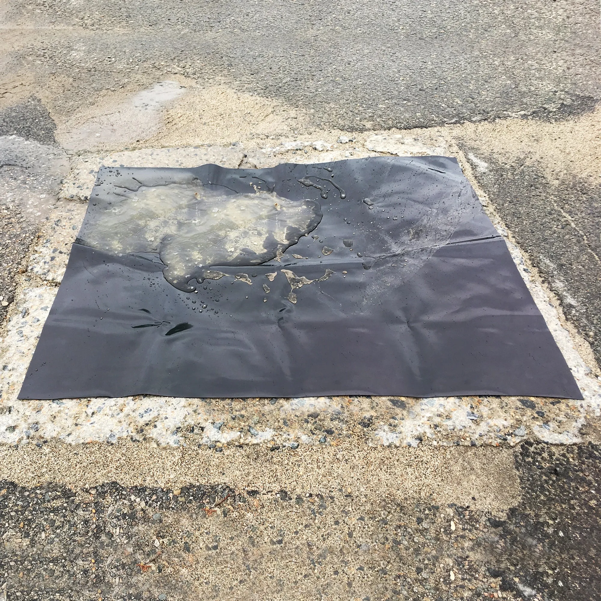 Drain Seals