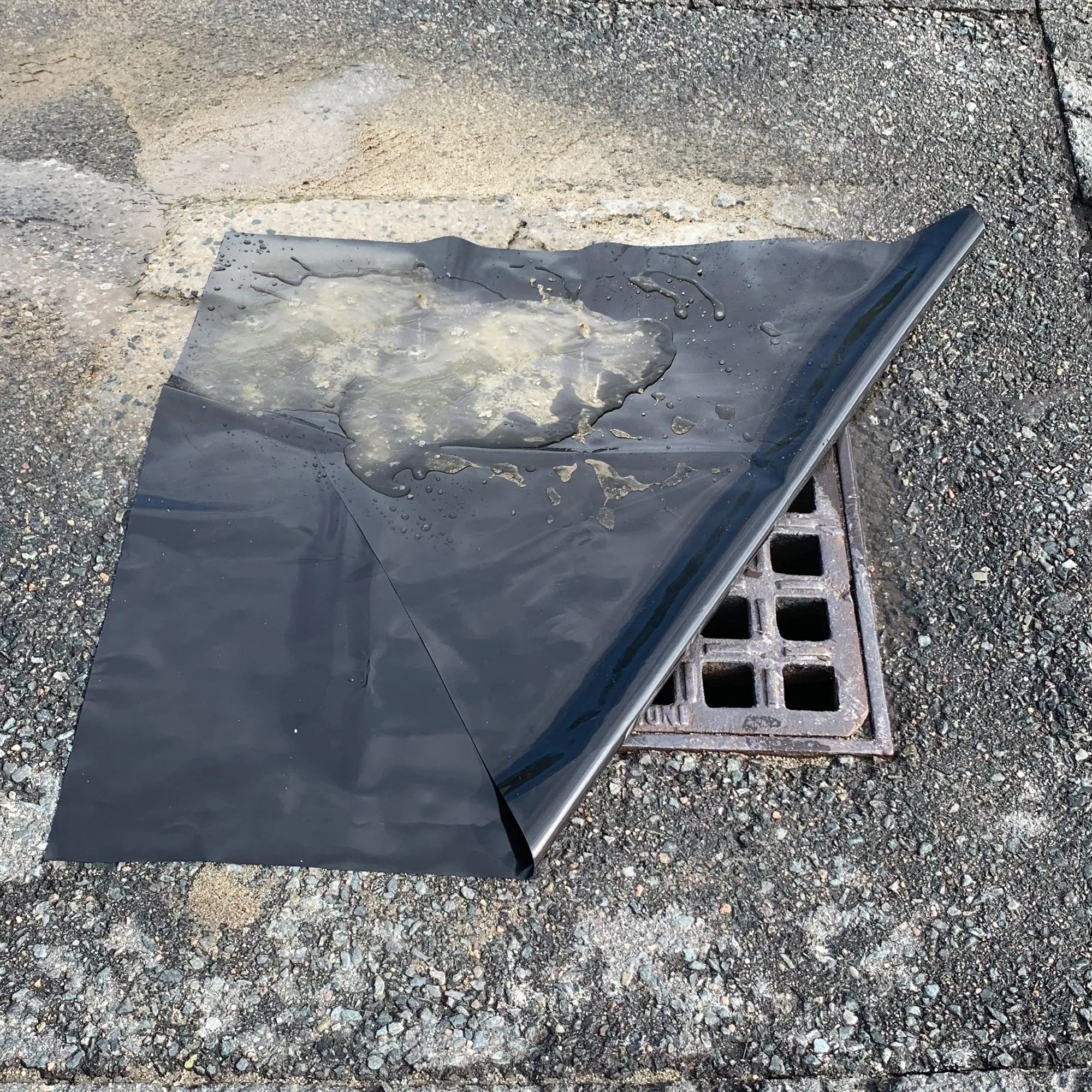 Drain Seals