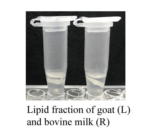 Minute™ Organic Solvent-Free Milk Lipid Depletion Kit (100 preps)