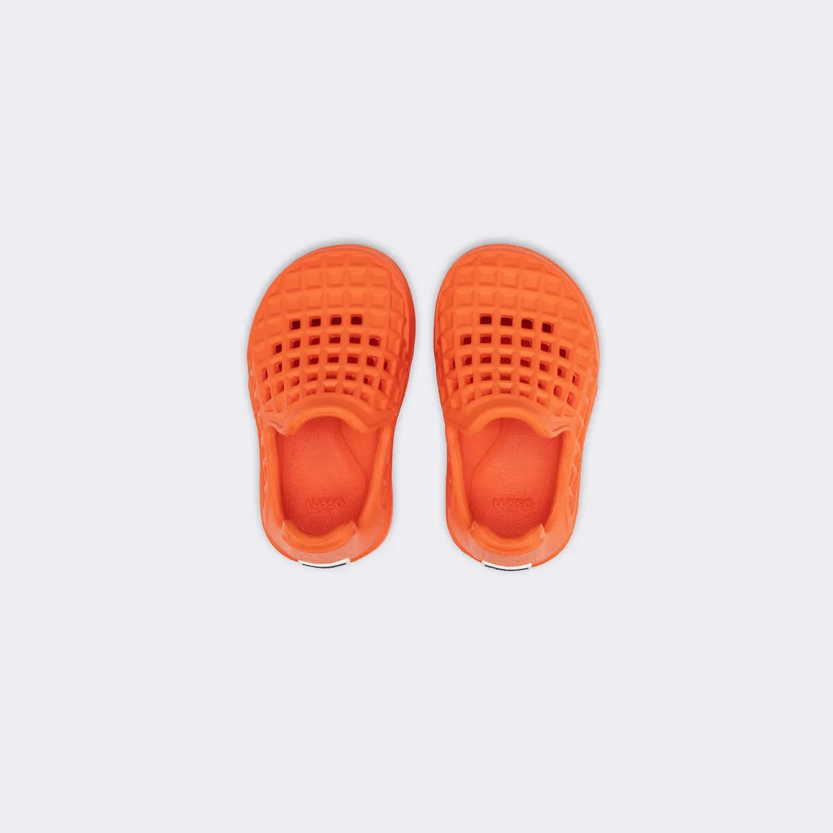 Scenario Kids - Carrot