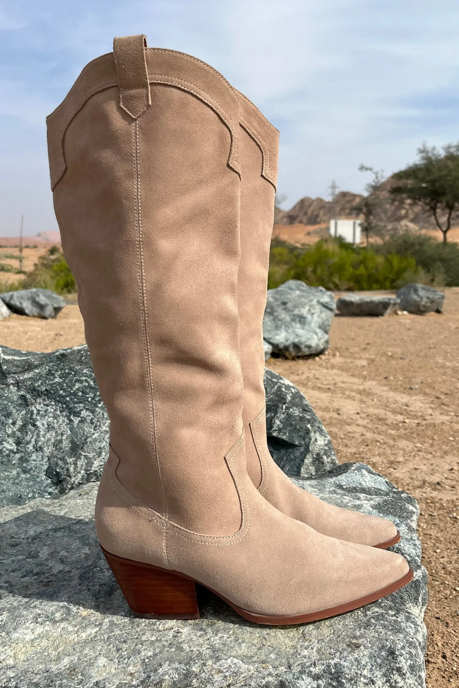 Suede Cowboy Boot