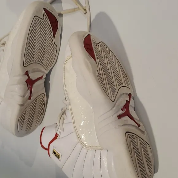 Toddler Jordan 12s 11.5