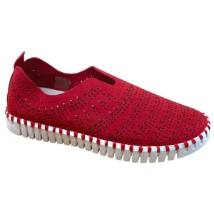 Tulip 3172 - Red